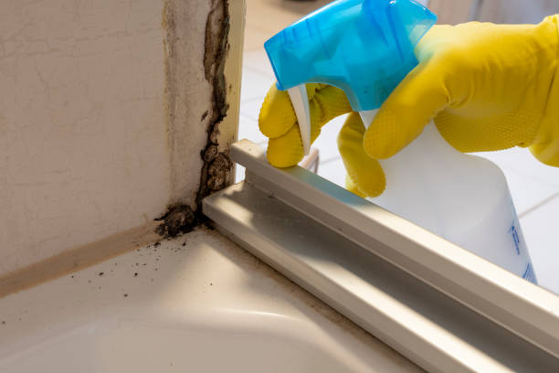 Best Mold Cleaning Services  in Scott Af, IL