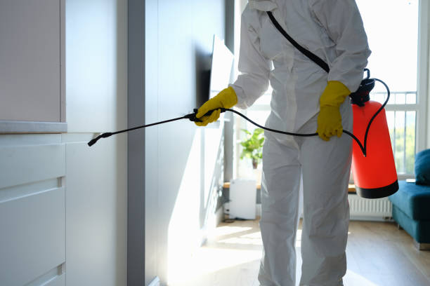 Home Mold Removal in Scott Af, IL