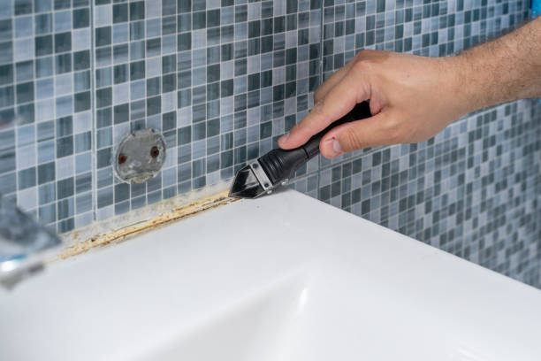 Best Certified Mold Removal  in Scott Af, IL