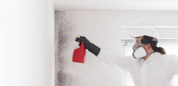 Best Residential Mold Removal  in Scott Af, IL